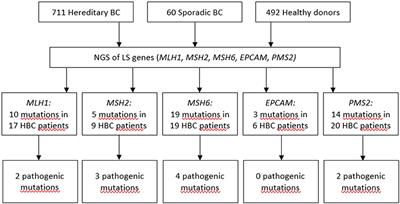 Lynch Syndrome Germline Mutations in Breast Cancer: Next Generation Sequencing Case-Control Study of 1,263 Participants
